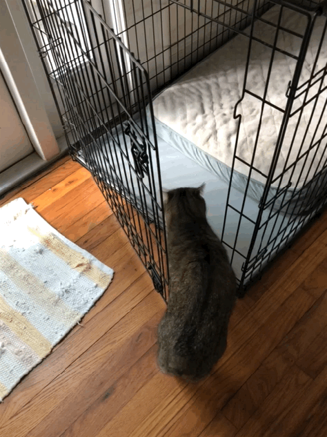 55233491454__A5F31011-A5E6-4DC5-8F70-556AE57781E3