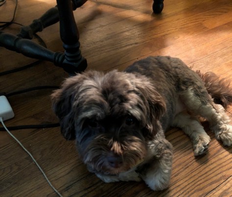 56061864539__23B91276-013E-4B93-8976-917E4611E236